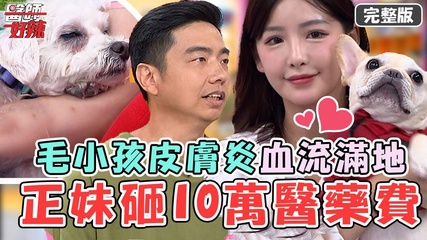 薪酸兽医来报到！毛小孩天生皮肤炎“血流满地” 正妹月砸10万医疗费？